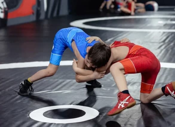 Греко-римская борьба